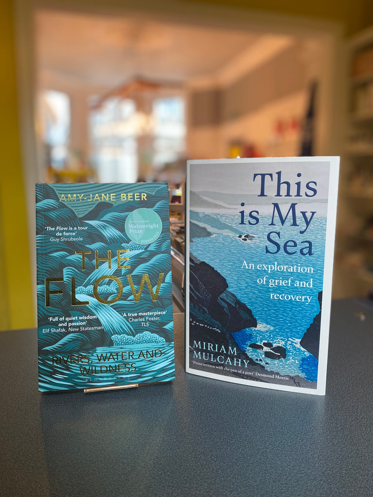 This Is My Sea, Miriam Mulcahy ( hardback August 2023 / paperback May 2024)