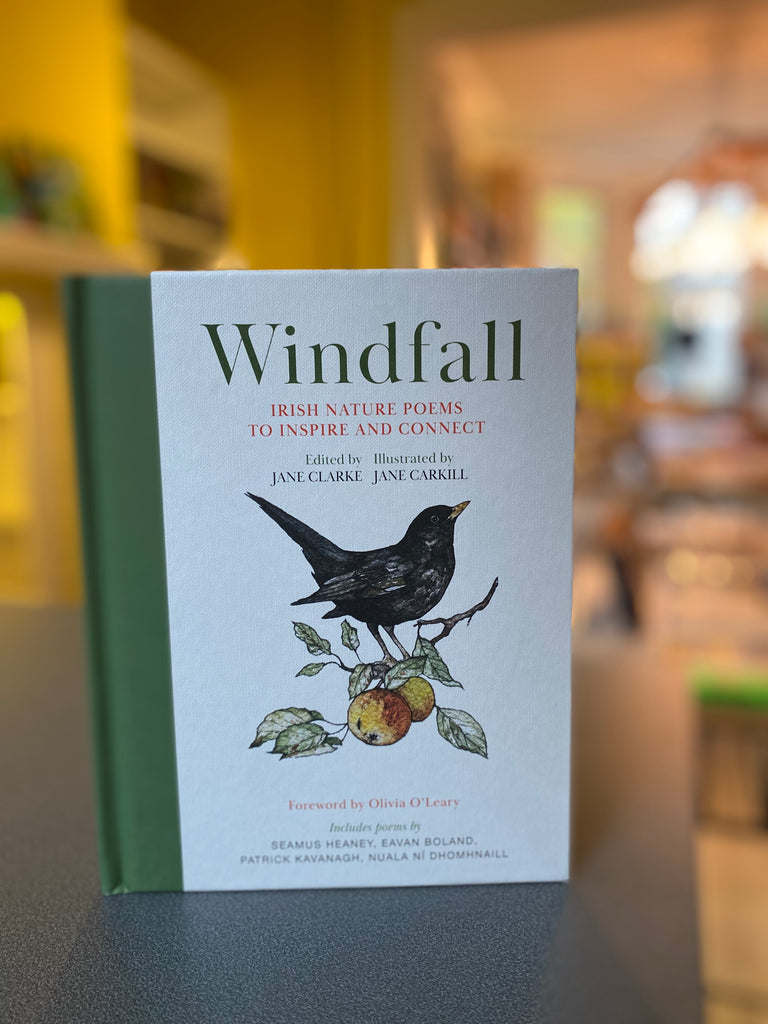 Windfall : Irish Nature Poems to Inspire and Connect by Jane Clarke