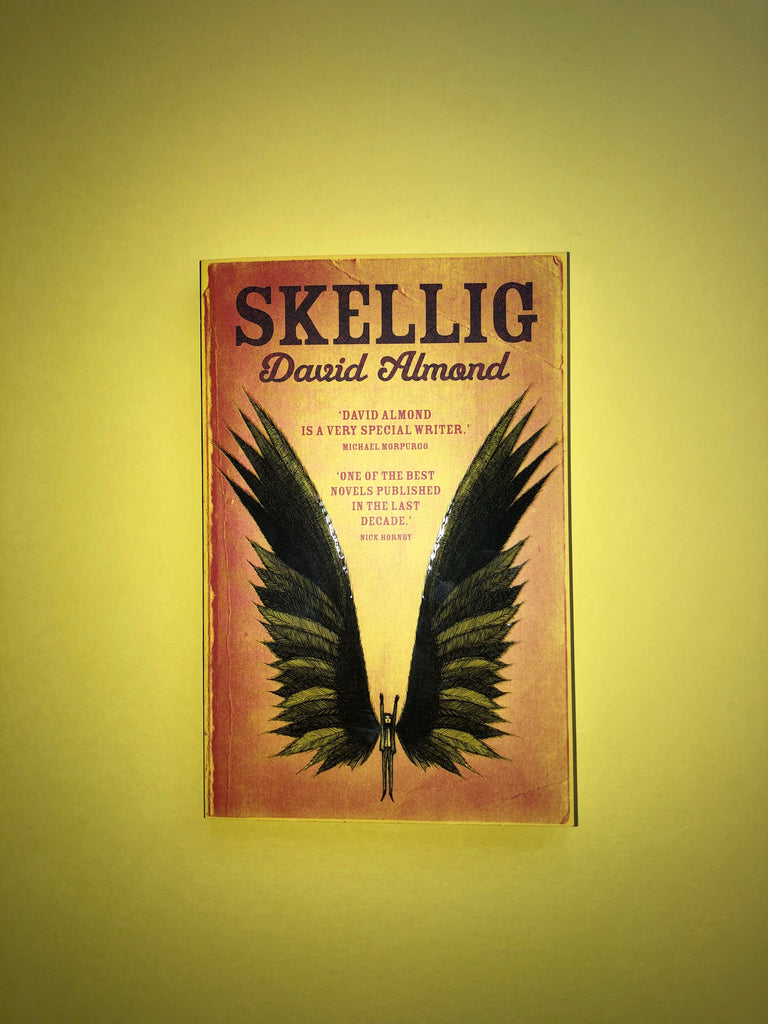Skellig, by David Almond