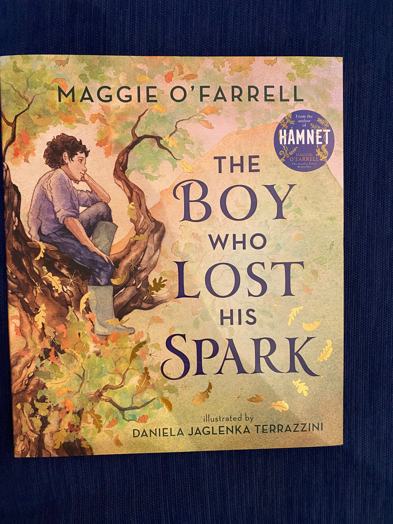 The Boy Who Lost His Spark, Maggie O'Farrell ( hardback October 2022)