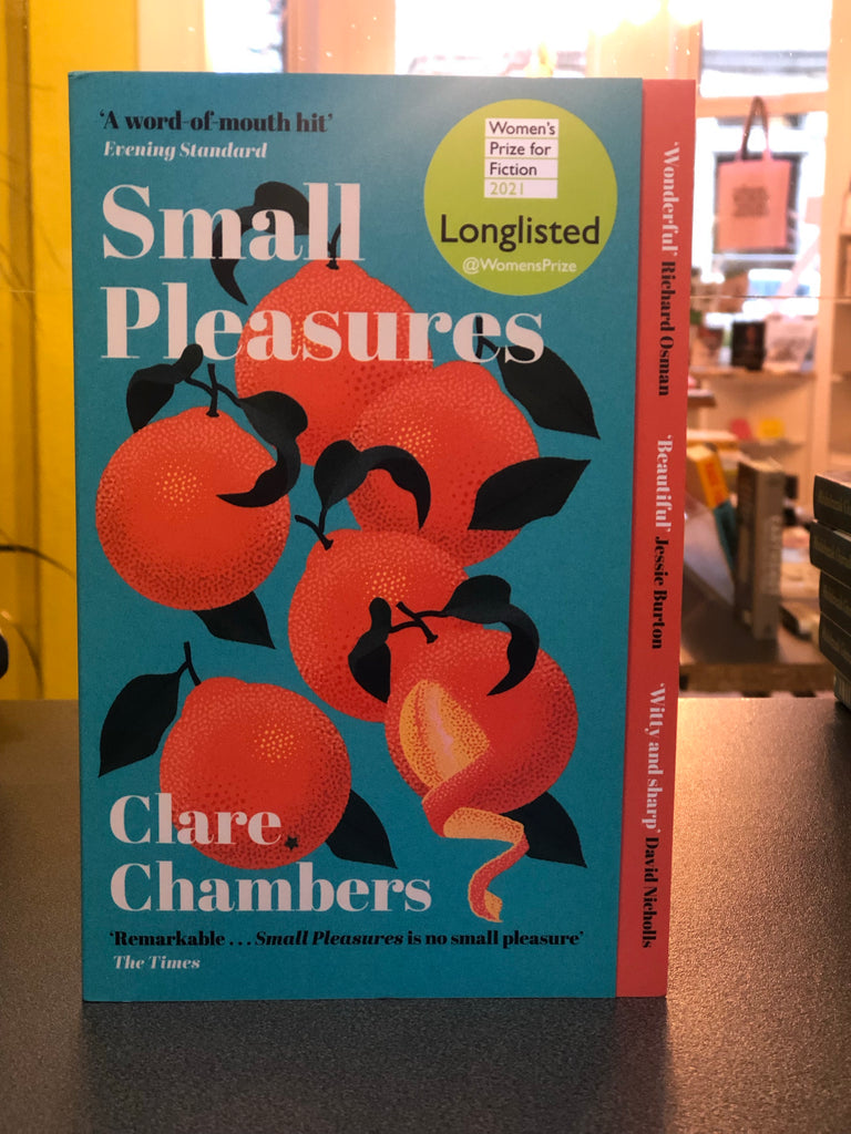 Small Pleasures Clare Chambers ( paperback)