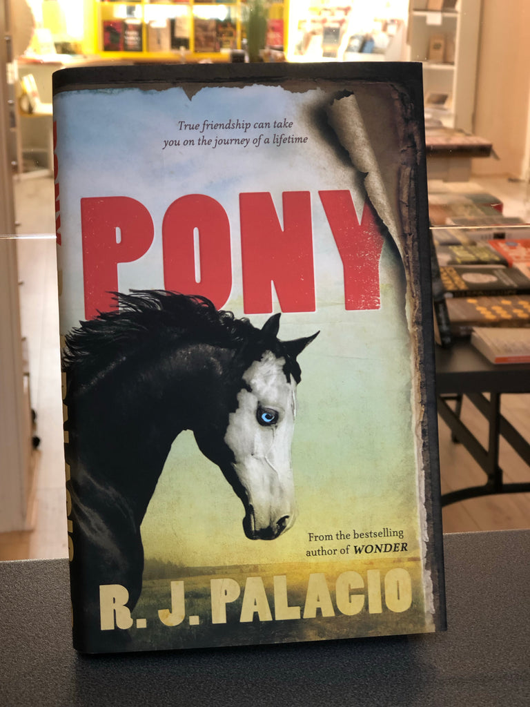 Pony, RJ Palaccio ( paperback Jan 2023
