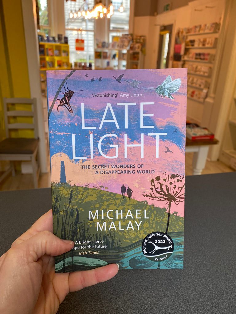 Late Light,  Michael Malay ( paperback Sept 2024)