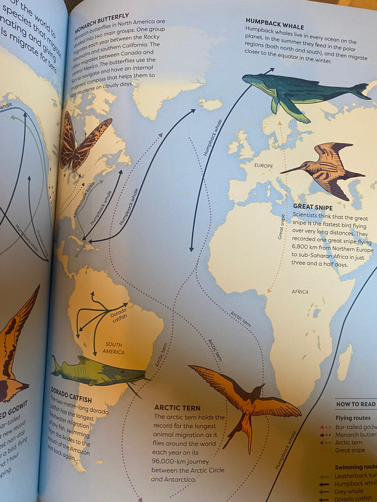 Britannica's Encyclopedia Infographica, various authors ( hardback Sept 23)