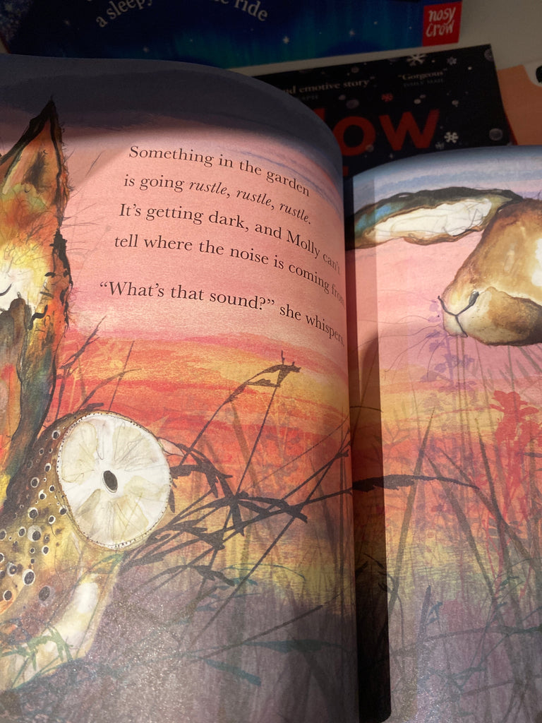 Molly, Olive and Dexter: Who's Afraid of the Dark? by Catherine Rayner ( Nov 25)