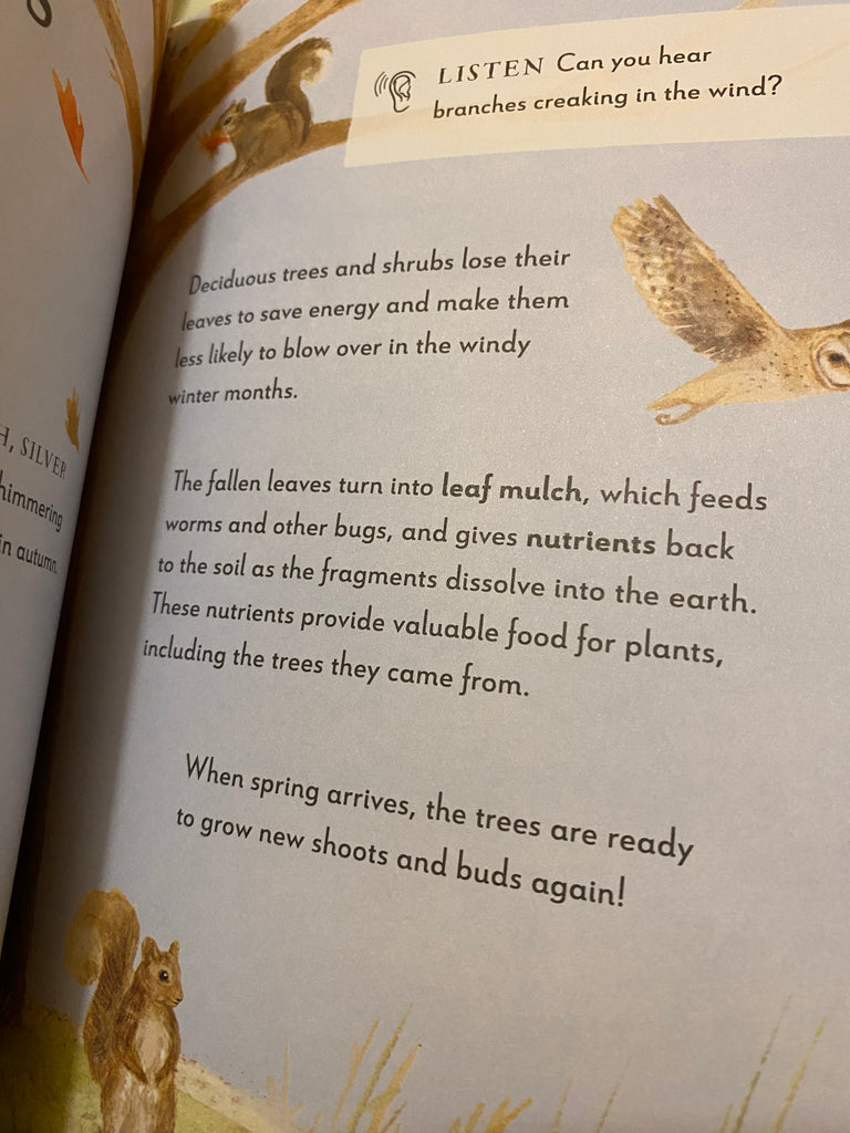 A Field Guide to Winter : Play and learn in nature by Gabby Dawnay ( Nov 2025)