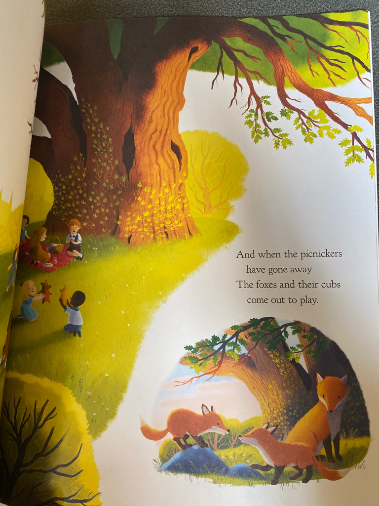 The Oak Tree, Julia Donaldson and Victoria Sandoy ( paperback August 2024)