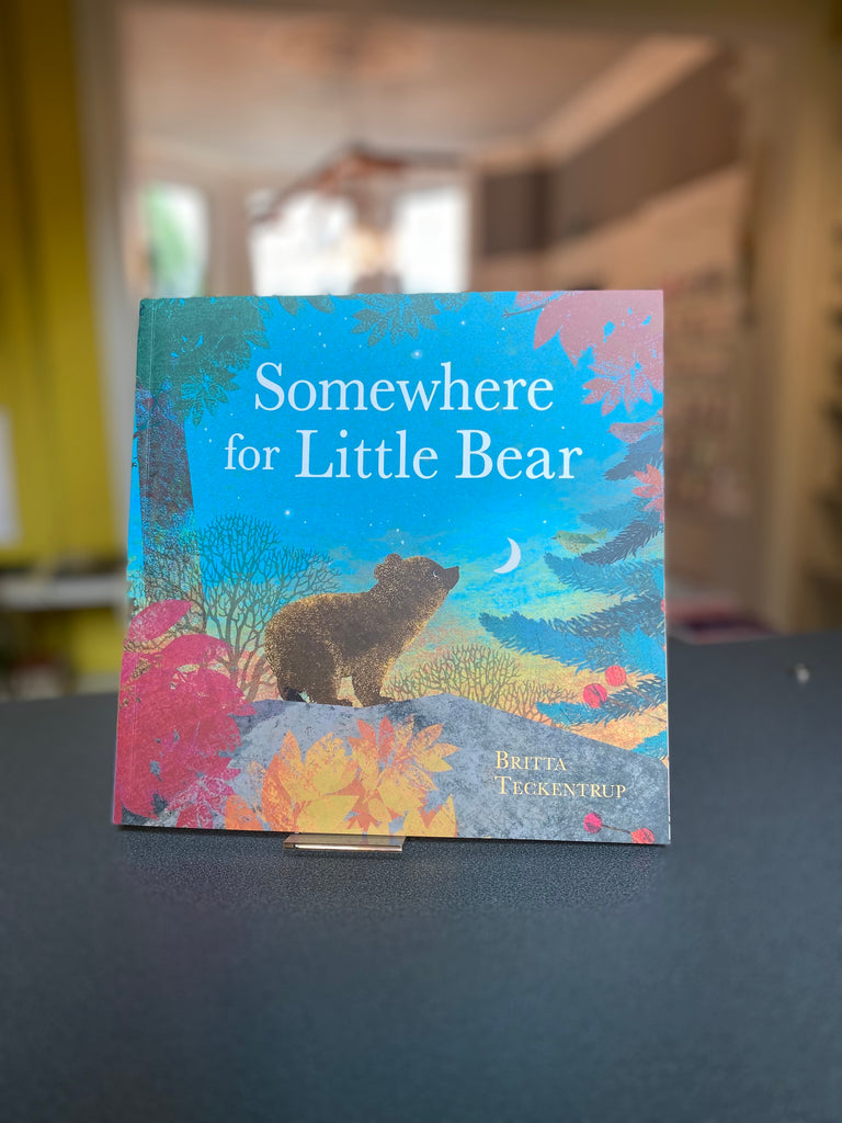 Somewhere for Little Bear, Britta Teckentrup ( paperback August 2024)