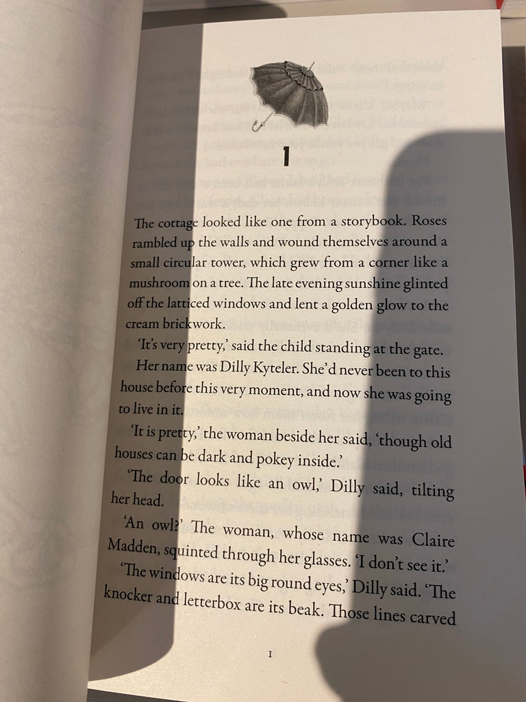 Museum of Lost Umbrellas, Marie Louise Fitzpatrick ( paperback July 2025)