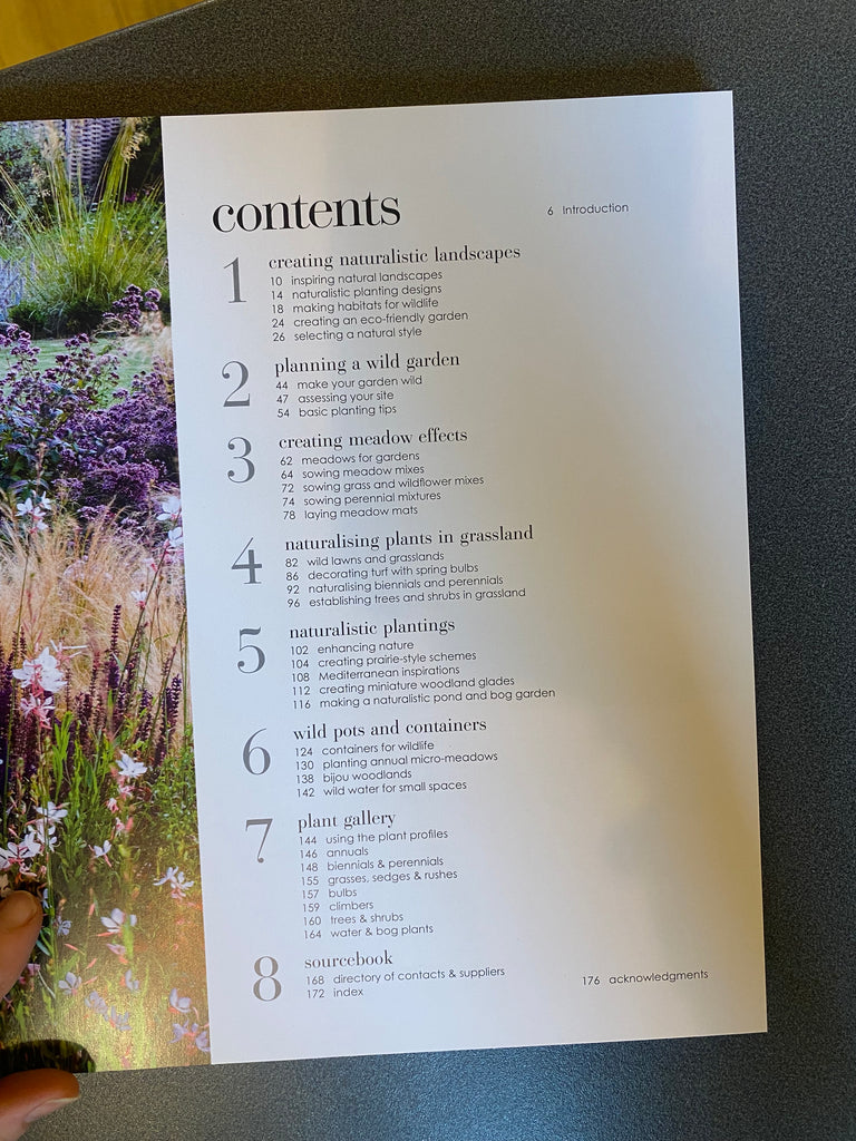 New Wild Garden : Natural-style planting and practicalities by Ian Hodgson