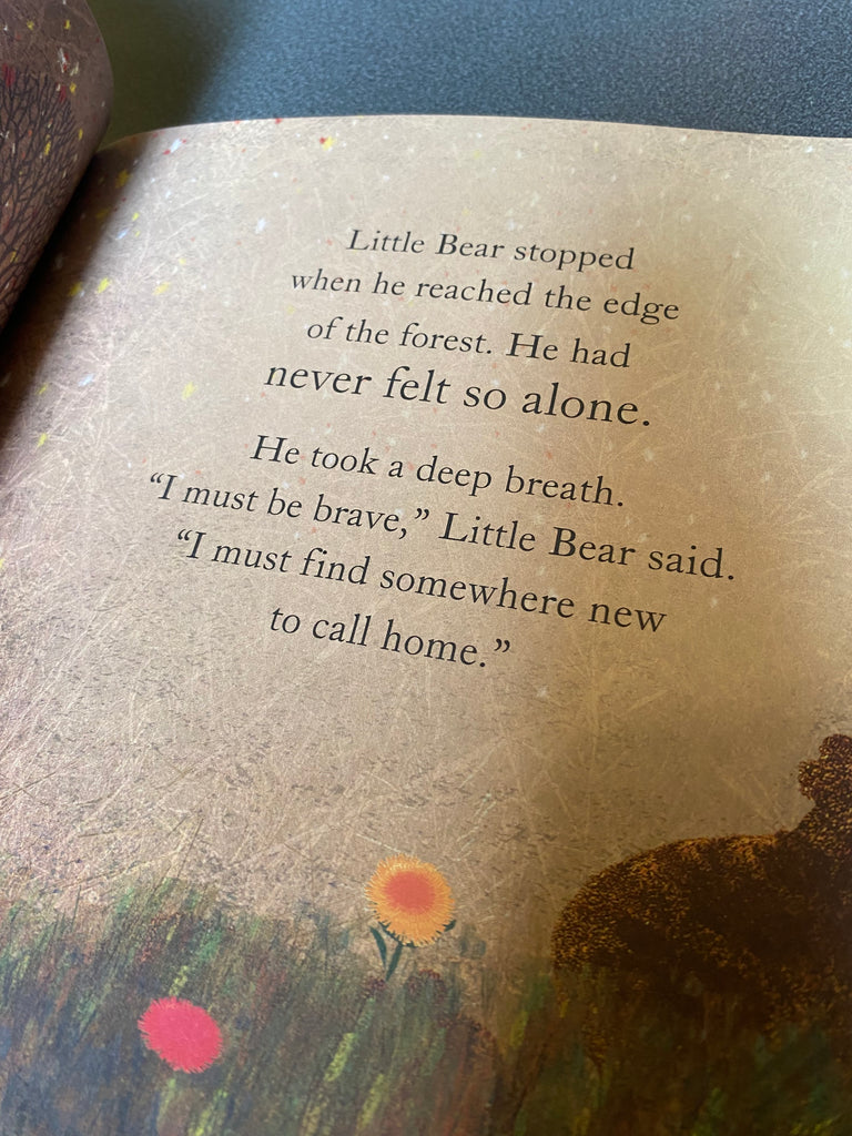 Somewhere for Little Bear, Britta Teckentrup ( paperback August 2024)