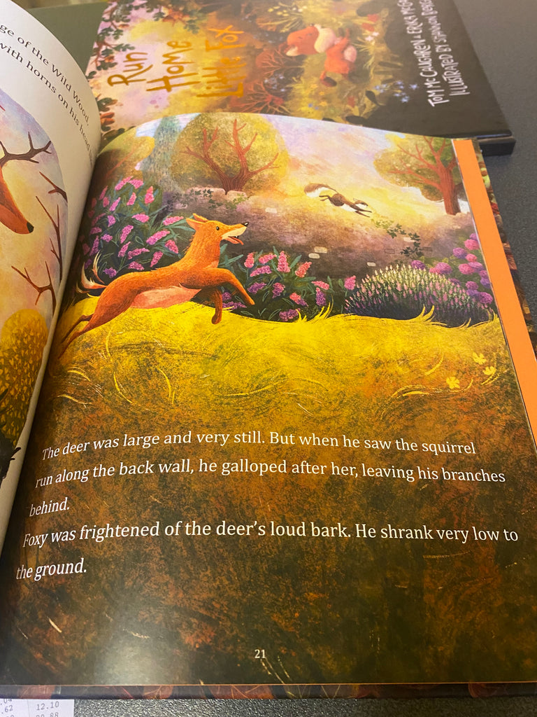 Run Home Little Fox ( hardback, Oct 2025)
