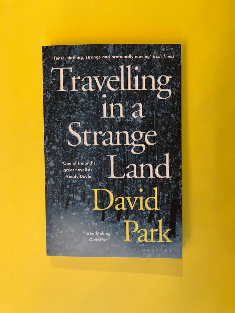 Travelling in a Strange Land, David Park ( paperback)