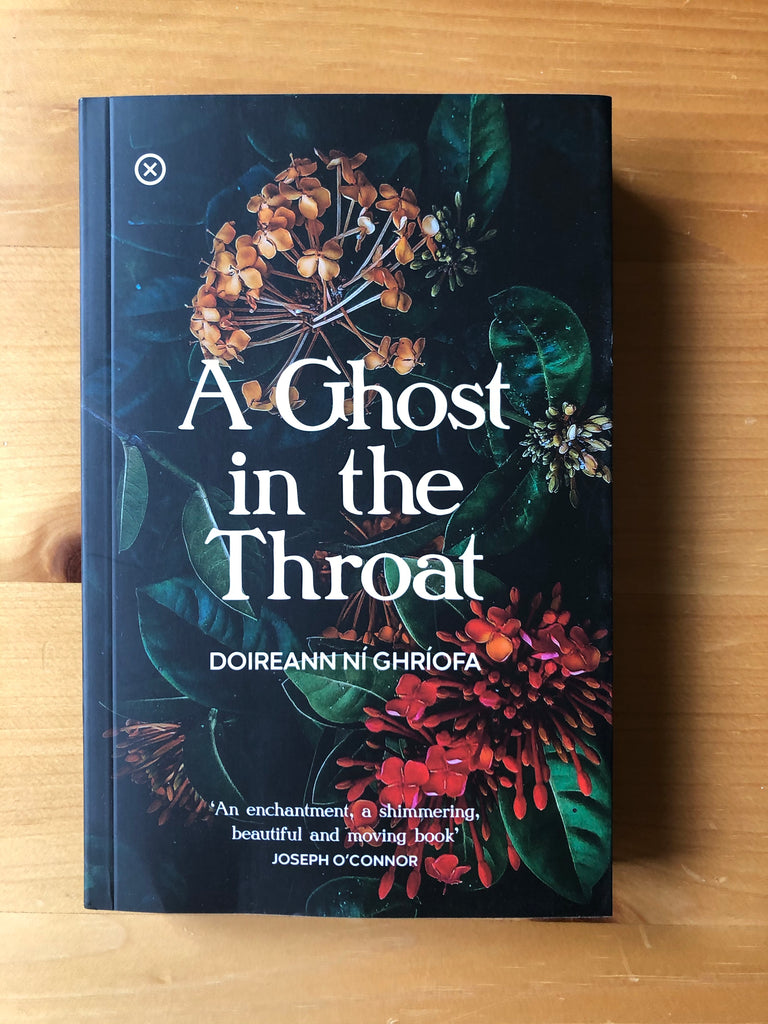 A Ghost in the Throat, Doireann ni Ghiofra (paperback October 2021)