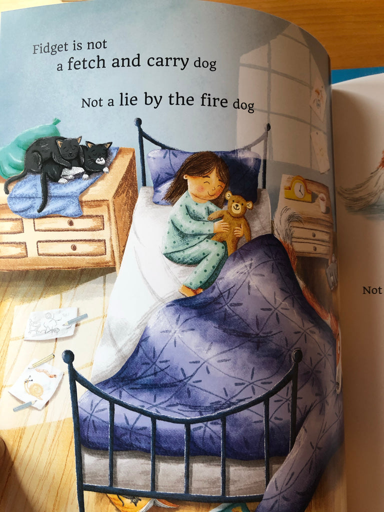 Fidget The Wonder Dog, Patricia Forde ( paperback picture book)