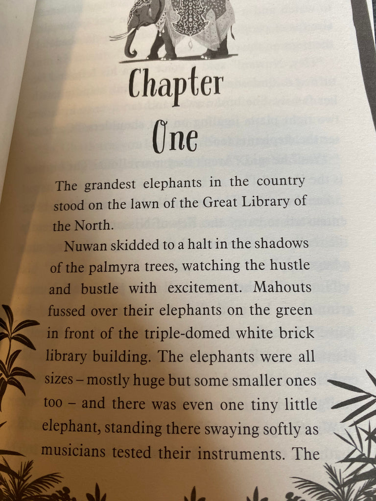The Boy Who Saved A Bear, Nizrana Farook ( paperback April 2023)