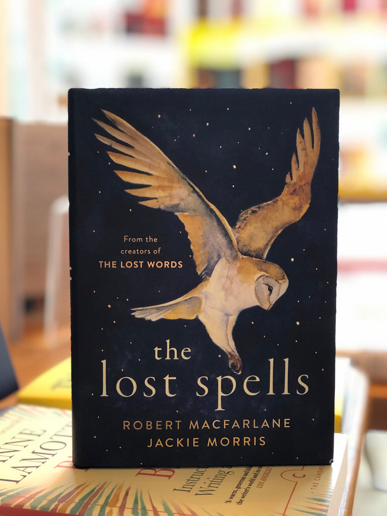 THE LOST SPELLS by Robert Macfarlane and Jackie Morris (October 2020, hardback)