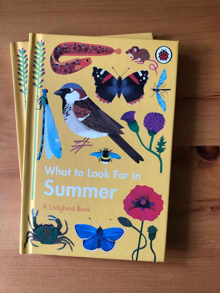 What To Look For in .. Summer( Ladybird series)