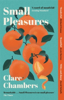 Small Pleasures, Clare Chambers ( paperback, 29 April 2021)